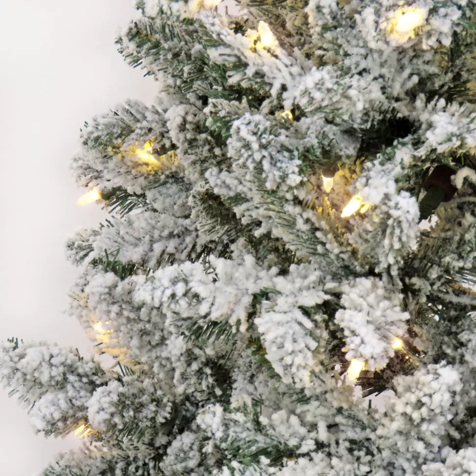 Discount The Holiday Aisle 108'' H Green Fir Christmas Tree With 600 Led Lights