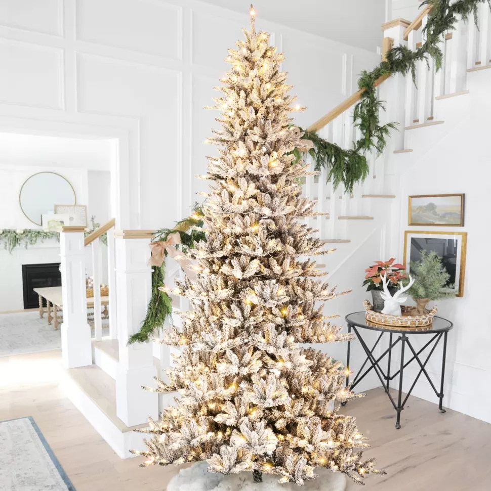 Fashion The Holiday Aisle 11' H Slender Black Pine Christmas Tree With 950 Led Lights