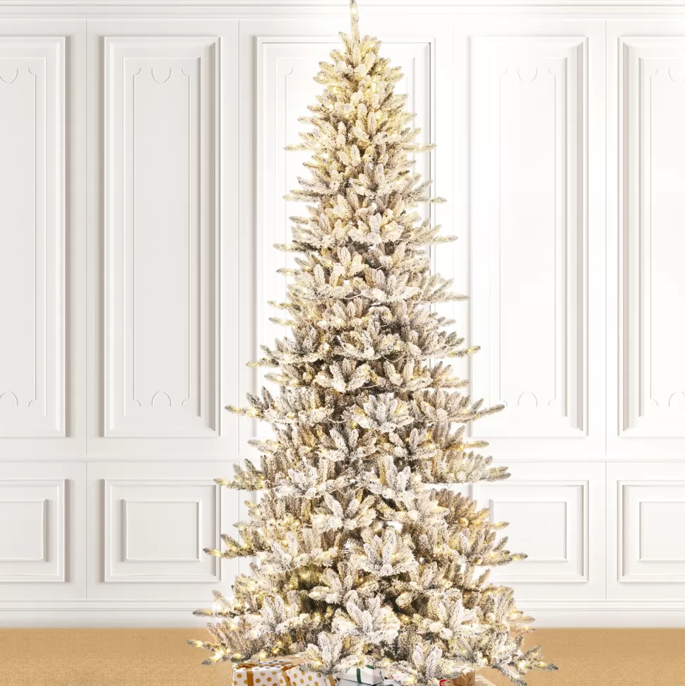 Fashion The Holiday Aisle 11' H Slender Black Pine Christmas Tree With 950 Led Lights