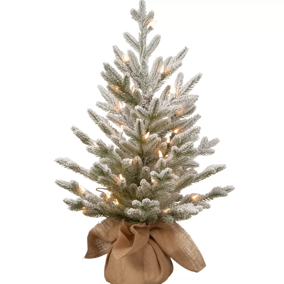 Flash Sale The Holiday Aisle 2.5' White Fir Artificial Christmas Tree With 35 White Lights