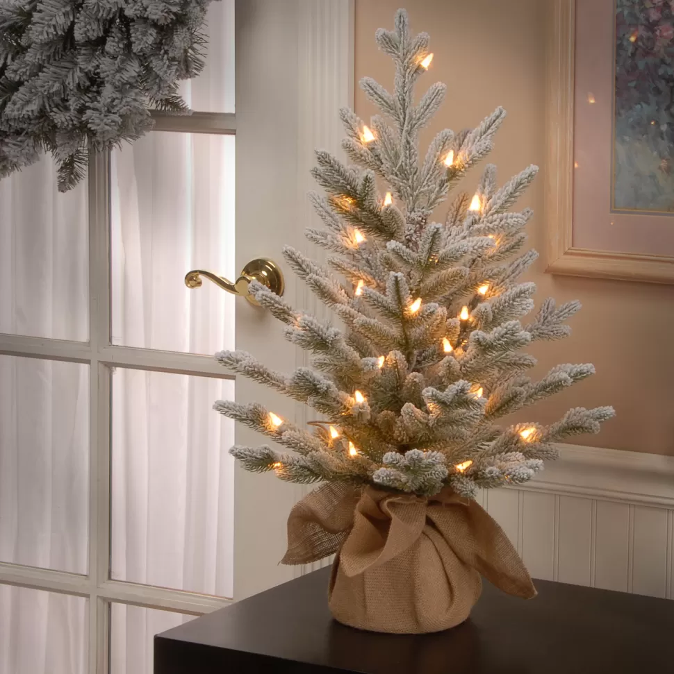 Flash Sale The Holiday Aisle 2.5' White Fir Artificial Christmas Tree With 35 White Lights