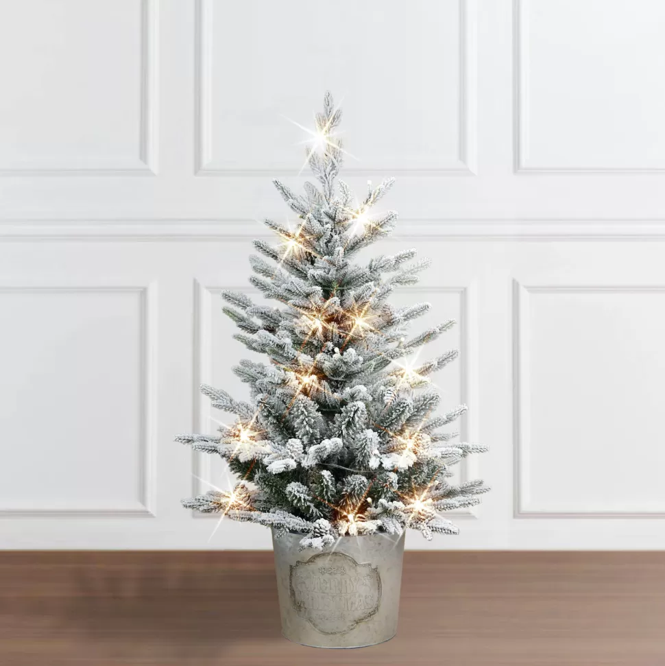 Flash Sale The Holiday Aisle 36" H Green Pvc & Pe Blend Fir Flocked/Frosted Christmas Tree With 50 Led Lights