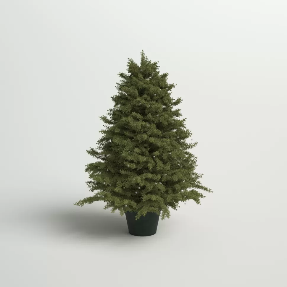 Discount Andover Mills 3' Green Pine Artificial Christmas Tree With 100 Clear Lights