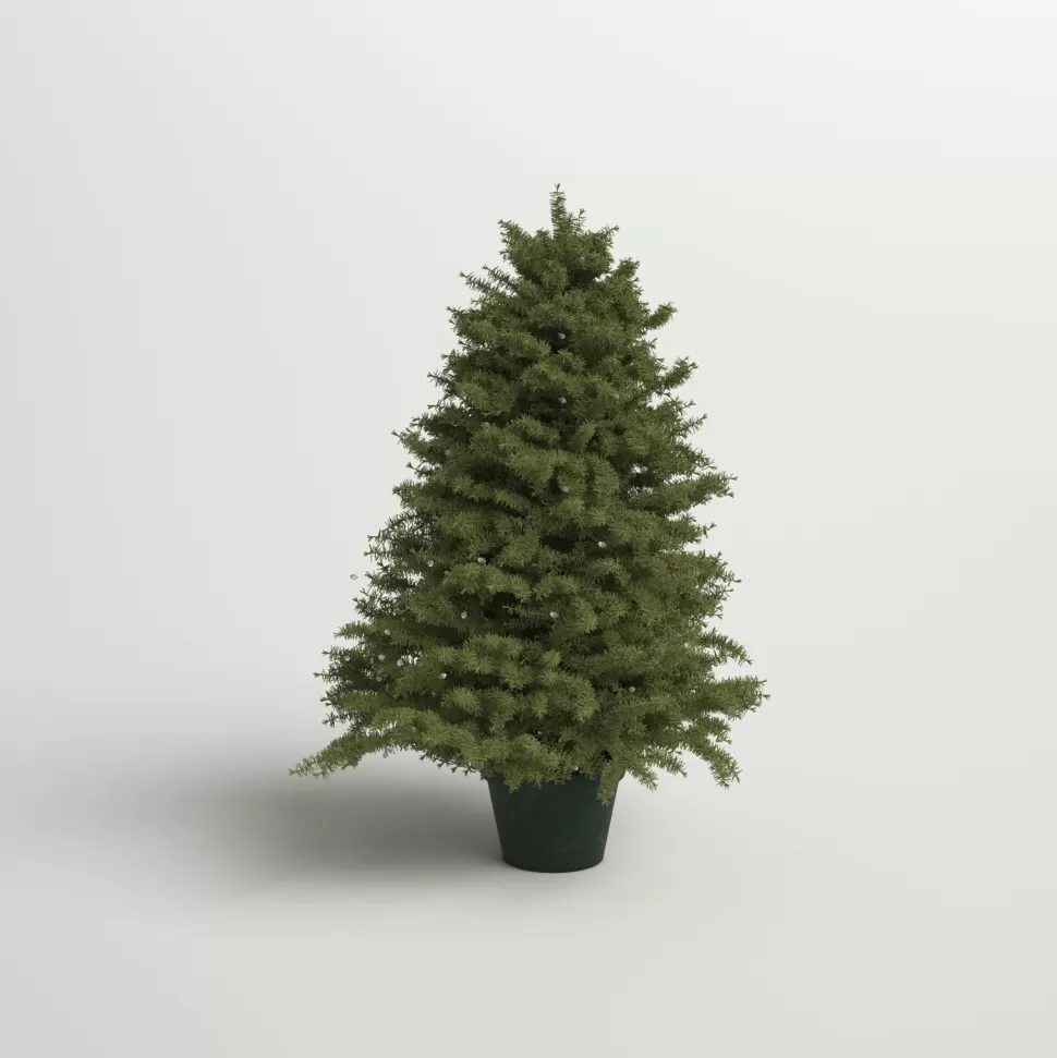 Discount Andover Mills 3' Green Pine Artificial Christmas Tree With 100 Clear Lights
