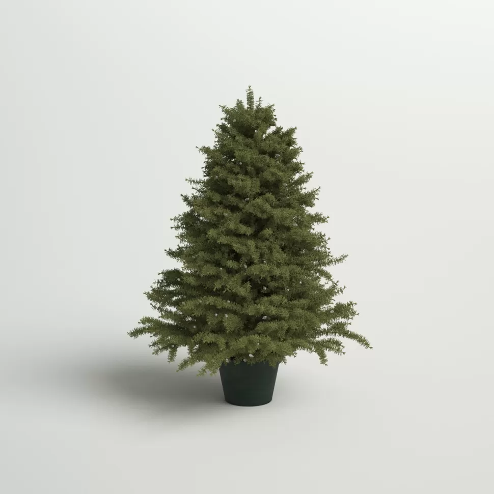 Discount Andover Mills 3' Green Pine Artificial Christmas Tree With 100 Clear Lights