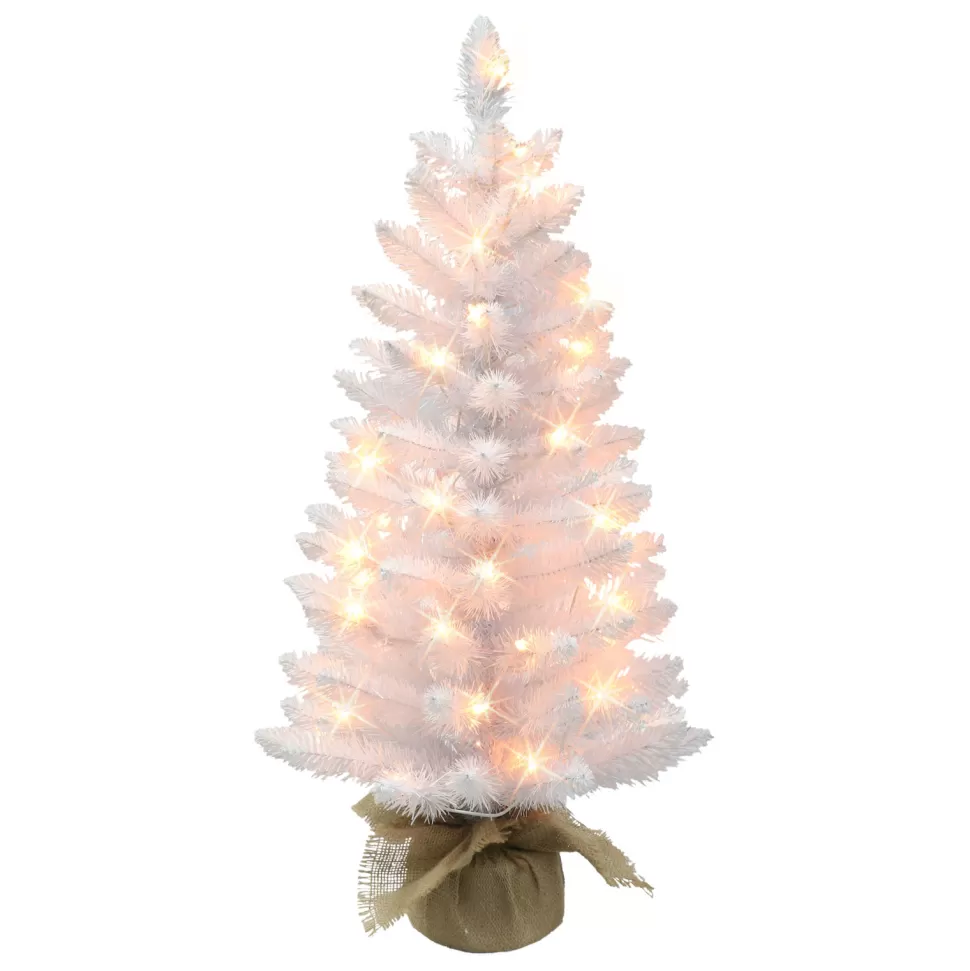 Fashion The Holiday Aisle 3' H White Fir Christmas Tree With 50 Lights