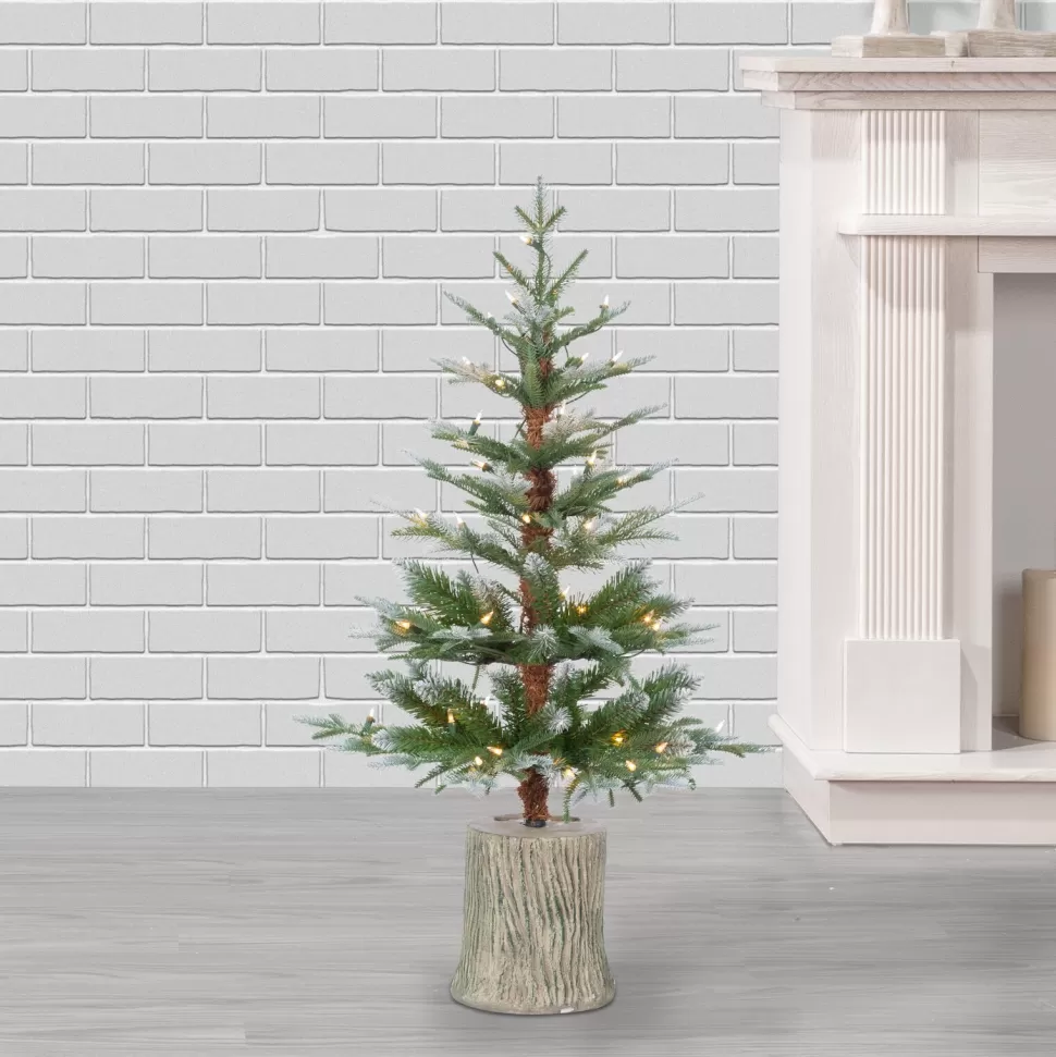 Online The Holiday Aisle 4' Lighted Artificial Pine Christmas Tree