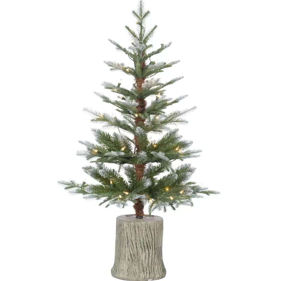 Online The Holiday Aisle 4' Lighted Artificial Pine Christmas Tree