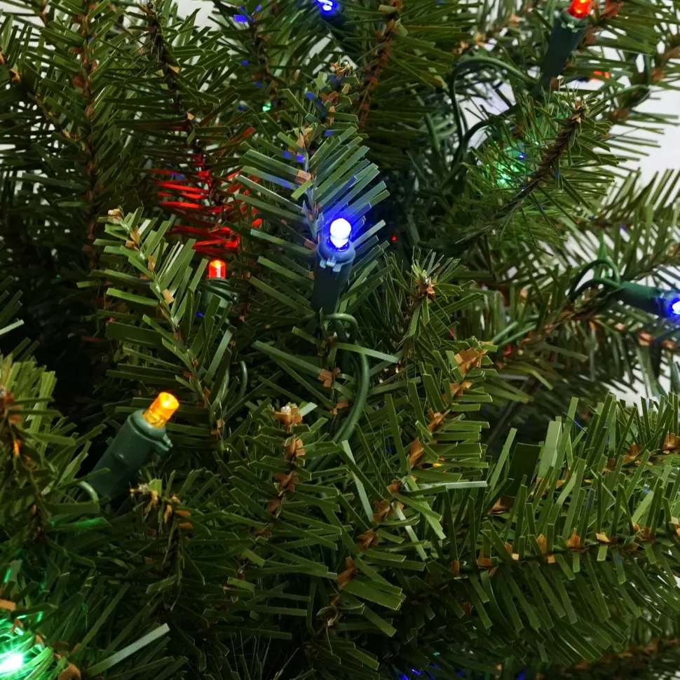 Flash Sale Northlight Seasonal 4' Pre-Lit Full Northern Pine Artificial Christmas Tree - Multicolor Led Lights