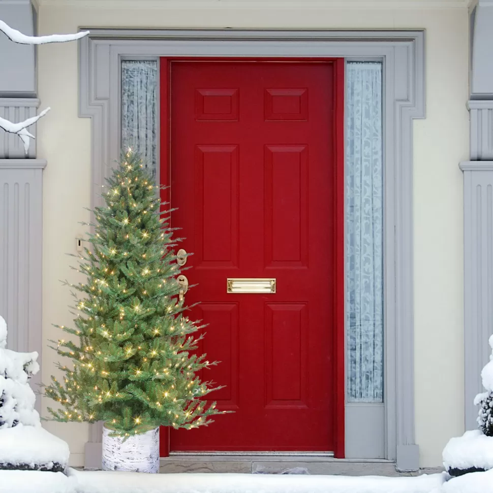Best Sale The Holiday Aisle 6.5 Ft Pe/Pvc Potted Tree, 1186 Tips, 350 Ul Clear Incandescent Lights