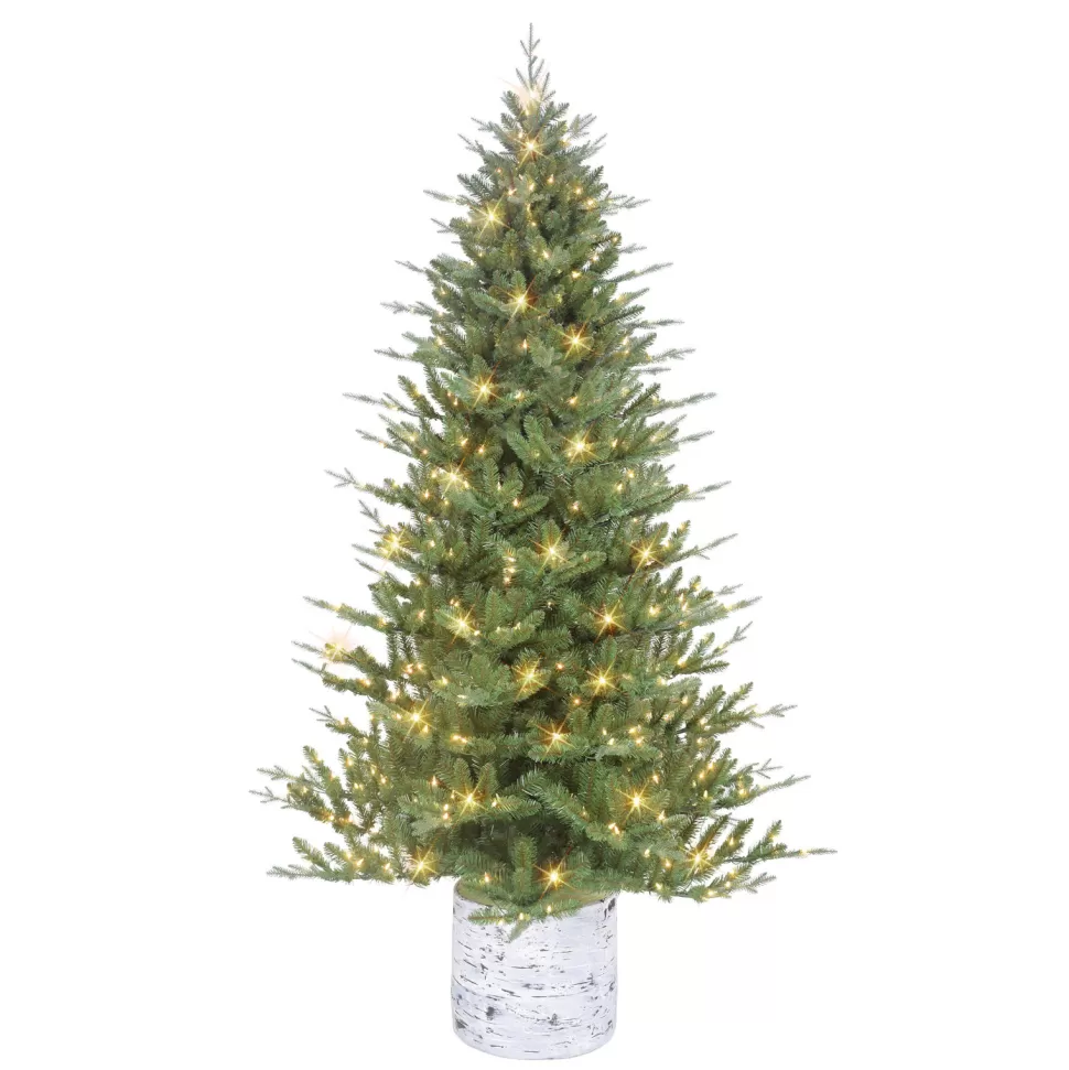 Best Sale The Holiday Aisle 6.5 Ft Pe/Pvc Potted Tree, 1186 Tips, 350 Ul Clear Incandescent Lights