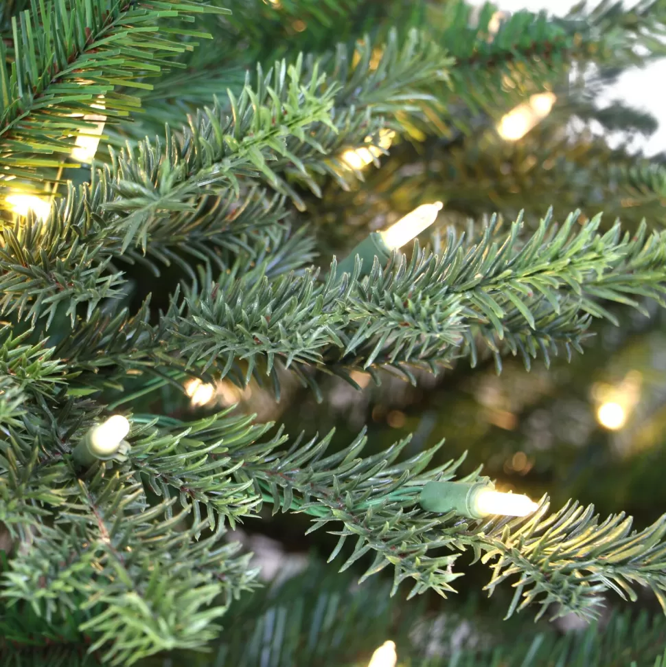 Outlet The Holiday Aisle 6'5" H Slender Green Realistic Artificial Fir Christmas Tree With 350 Lights