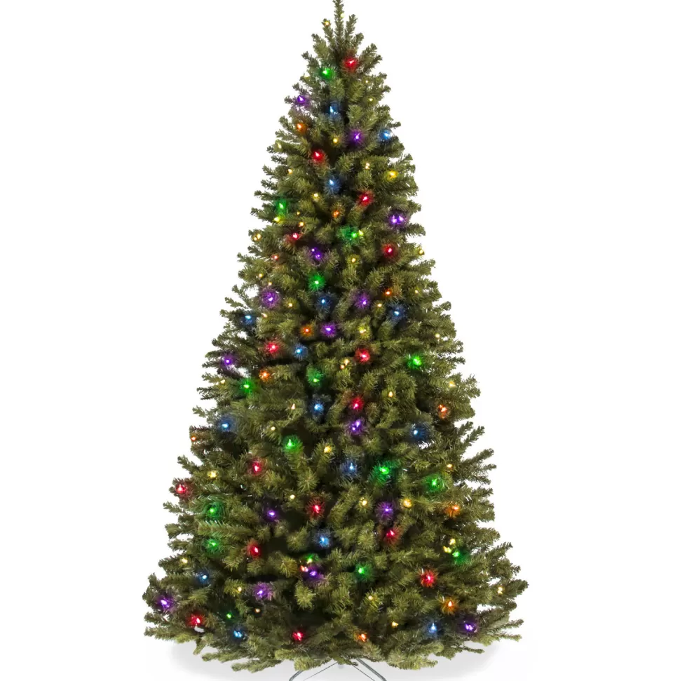 Hot The Holiday Aisle 6' H Green Tree Family Christmas Tree 250 Lights Led