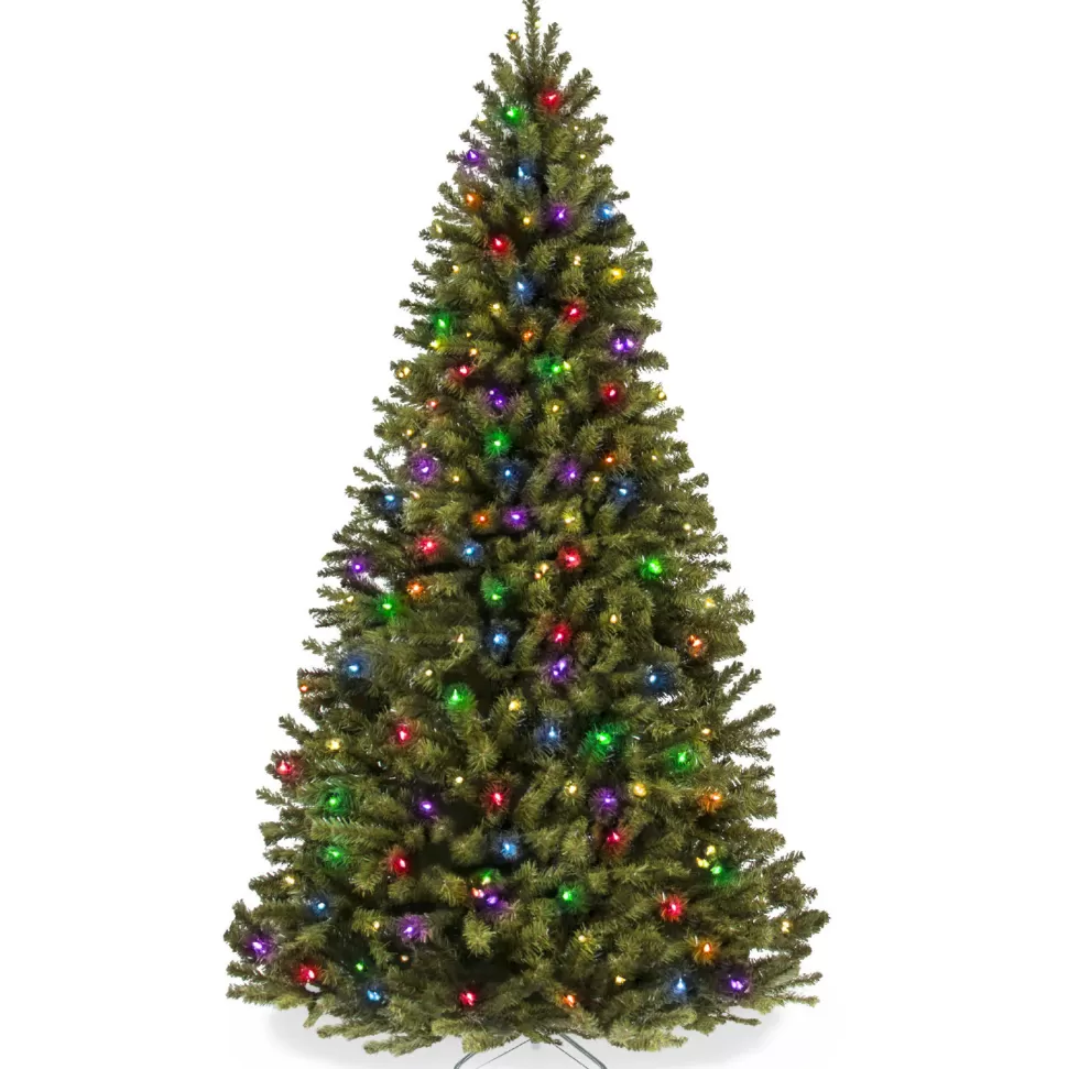 Hot The Holiday Aisle 6' H Green Tree Family Christmas Tree 250 Lights Led