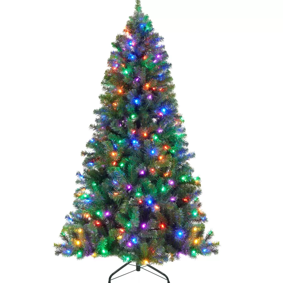 Hot The Holiday Aisle 6' H Green Tree Family Christmas Tree 250 Lights Led
