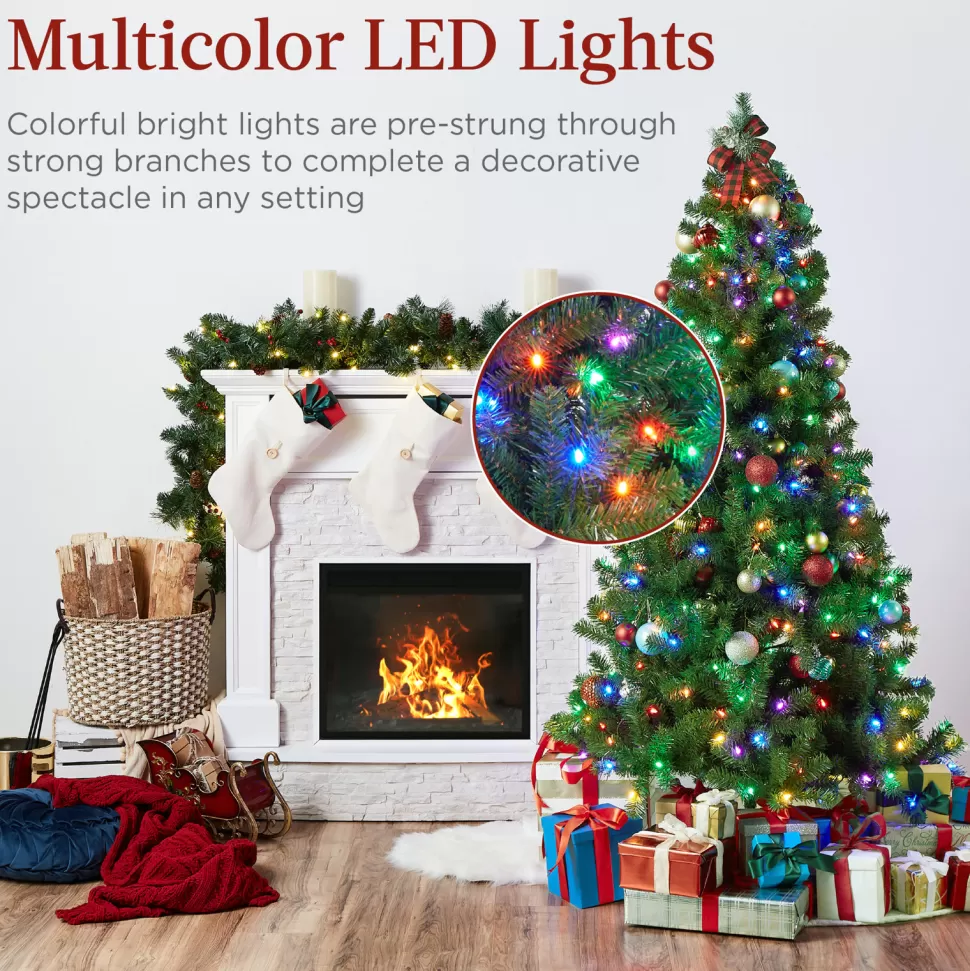 Hot The Holiday Aisle 6' H Green Tree Family Christmas Tree 250 Lights Led