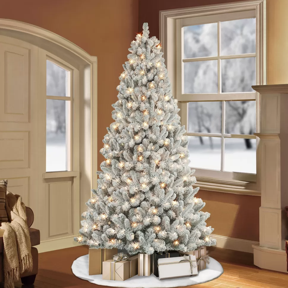 Flash Sale The Holiday Aisle 6' H Slender Green Pine Christmas Tree With 250 Lights
