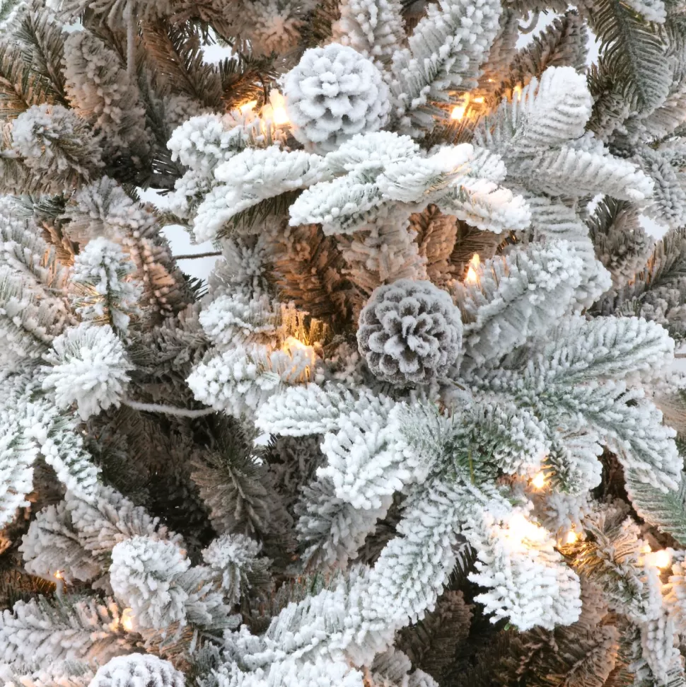 Cheap The Holiday Aisle 7'6" H Green Realistic Artificial Pine Frosted Christmas Tree With 450 Lights