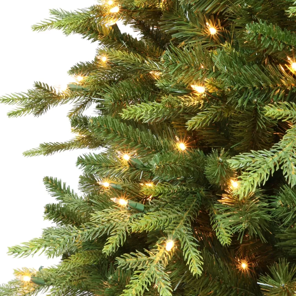 Fashion The Holiday Aisle 7'6" H Green Realistic Spruce Christmas Tree With 800 Lights