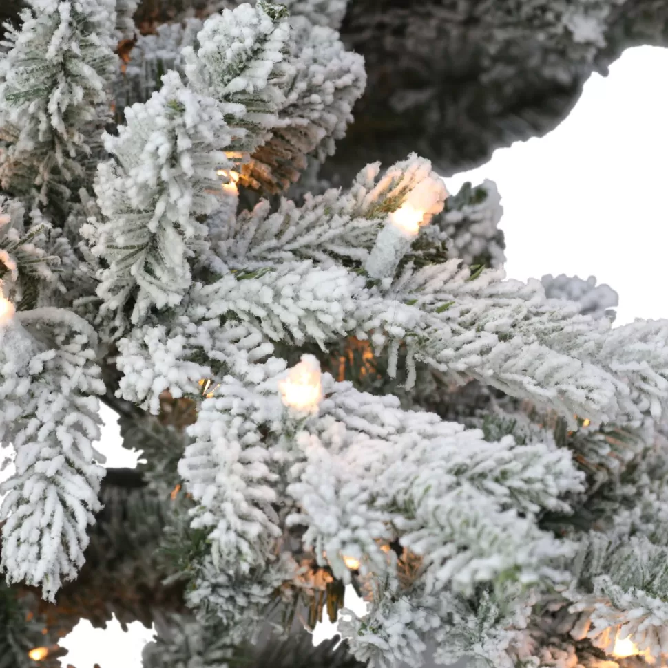 Best Sale The Holiday Aisle 78" H Green Pvc & Pe Blend Fir Flocked/Frosted Christmas Tree With 350 Lights