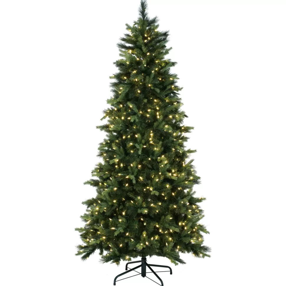 Outlet The Holiday Aisle 78'' H Green Realistic Spruce Christmas Tree With 500 Led Lights