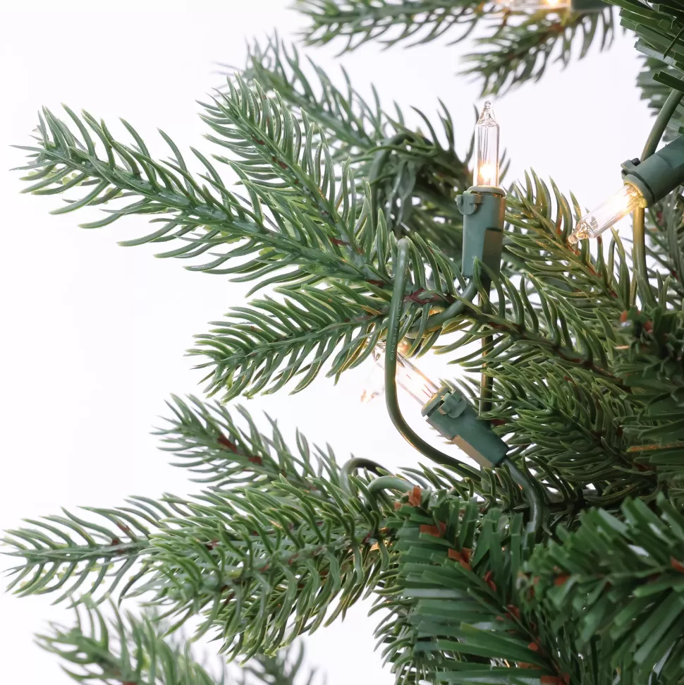 Sale The Holiday Aisle 7' 5" H Green Fir Christmas Tree With 700 Lights