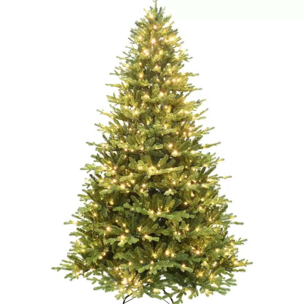 Fashion The Holiday Aisle 7' 5" H Pine Christmas Tree With 1000 Led Lights