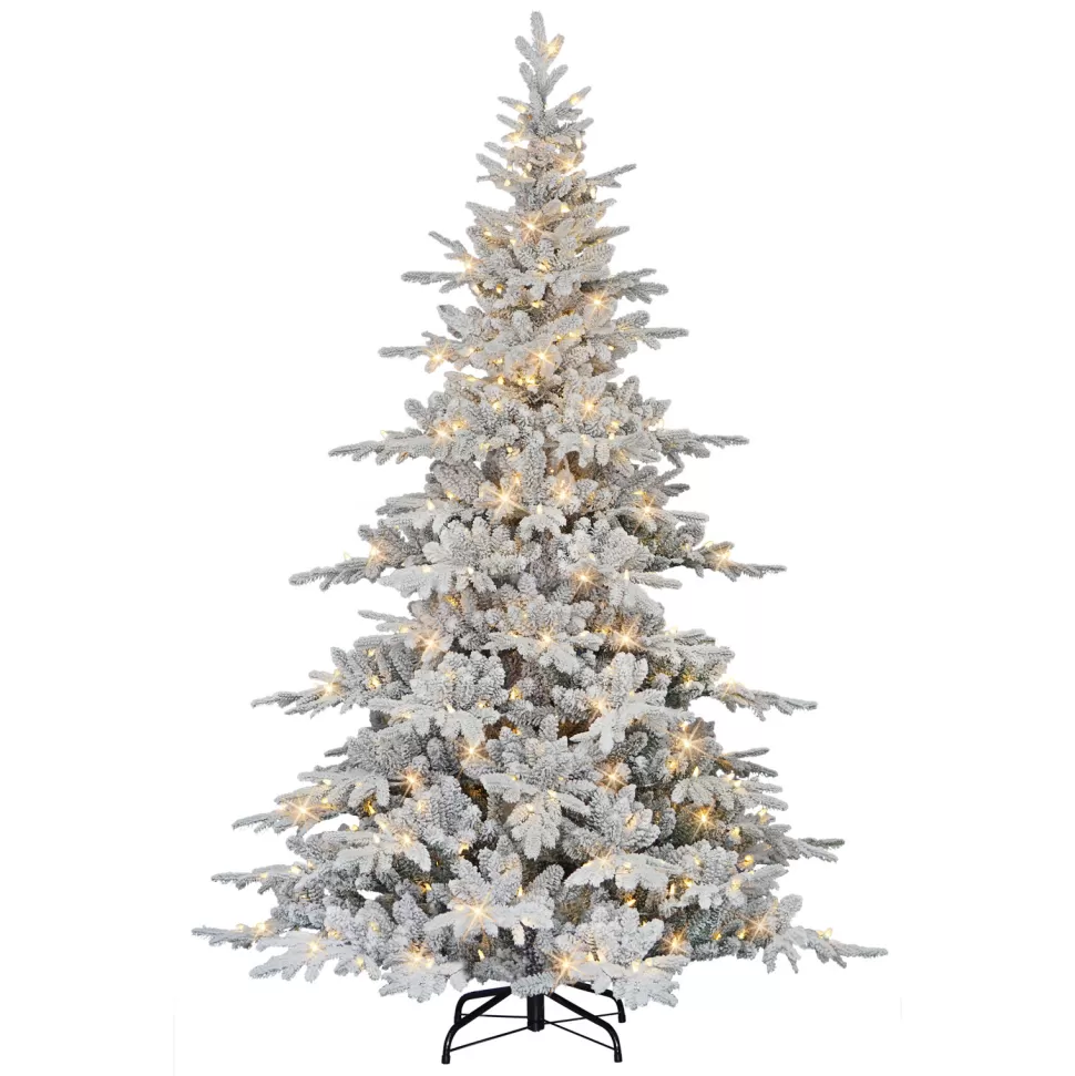 Clearance The Holiday Aisle 7' H Slender Green Pine Christmas Tree With 500 Lights