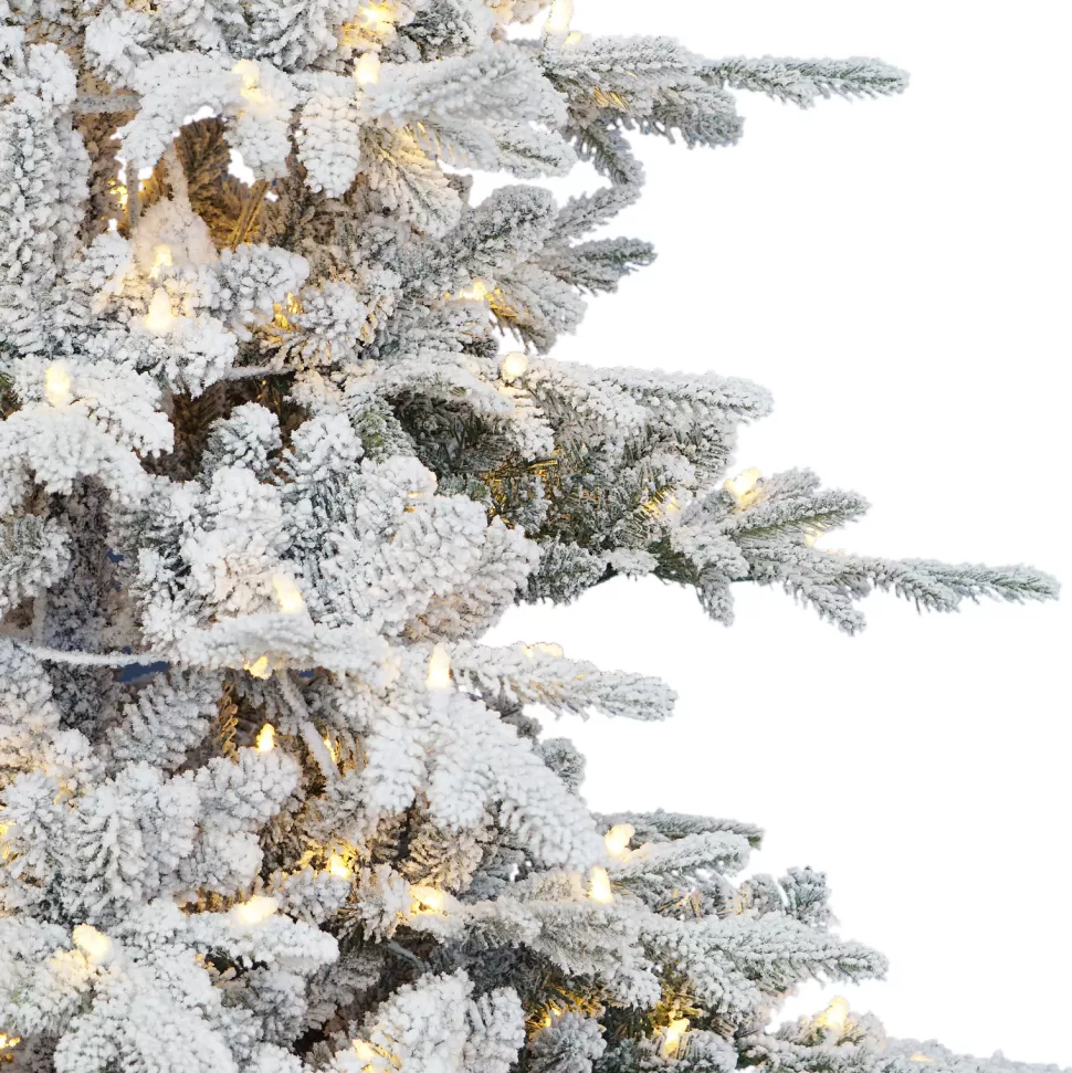 Clearance The Holiday Aisle 7' H Slender Green Pine Christmas Tree With 500 Lights