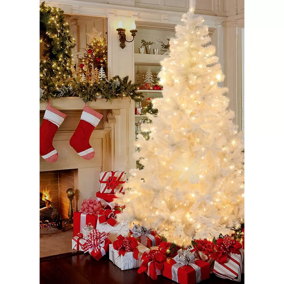 Flash Sale The Holiday Aisle 7' White Fir Christmas Tree With 350 Led Lights