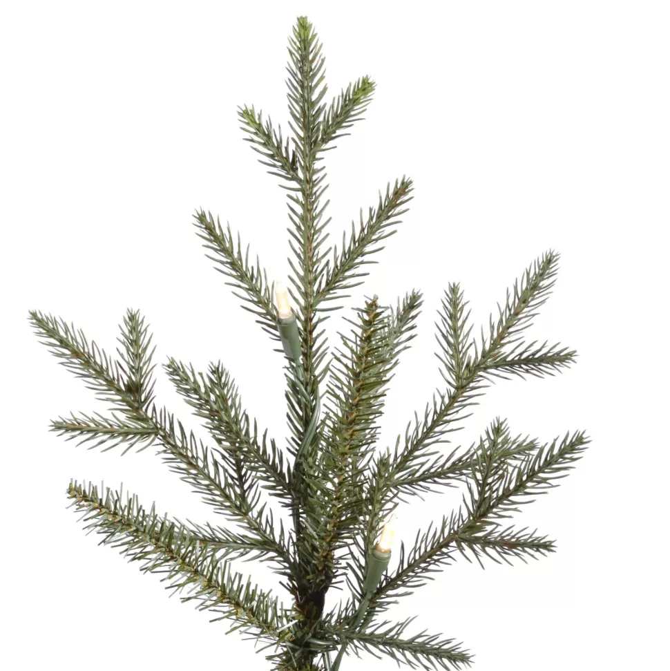 Outlet Rebrilliant 8' 6" H Green Realistic Artificial Fir Christmas Tree With 1000 Lights Led Lights