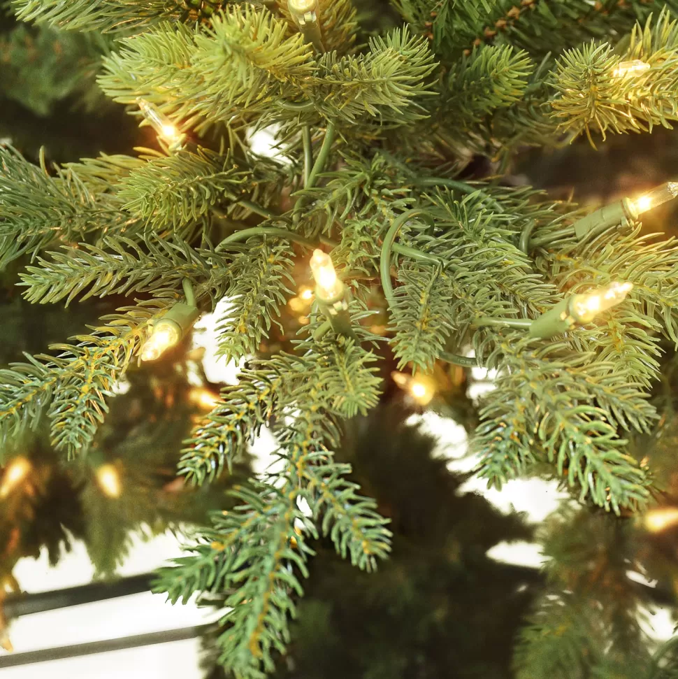 Best Sale The Holiday Aisle 90" H Slender Green Pvc & Pe Blend Fir Christmas Tree With 500 Lights