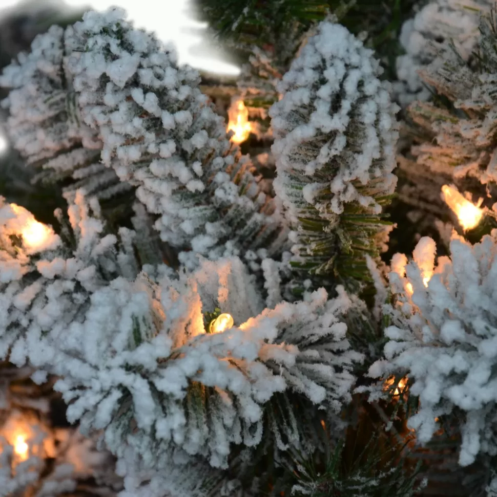 Best Sale The Holiday Aisle 9' H Slender Green Pine Christmas Tree With 700 Lights