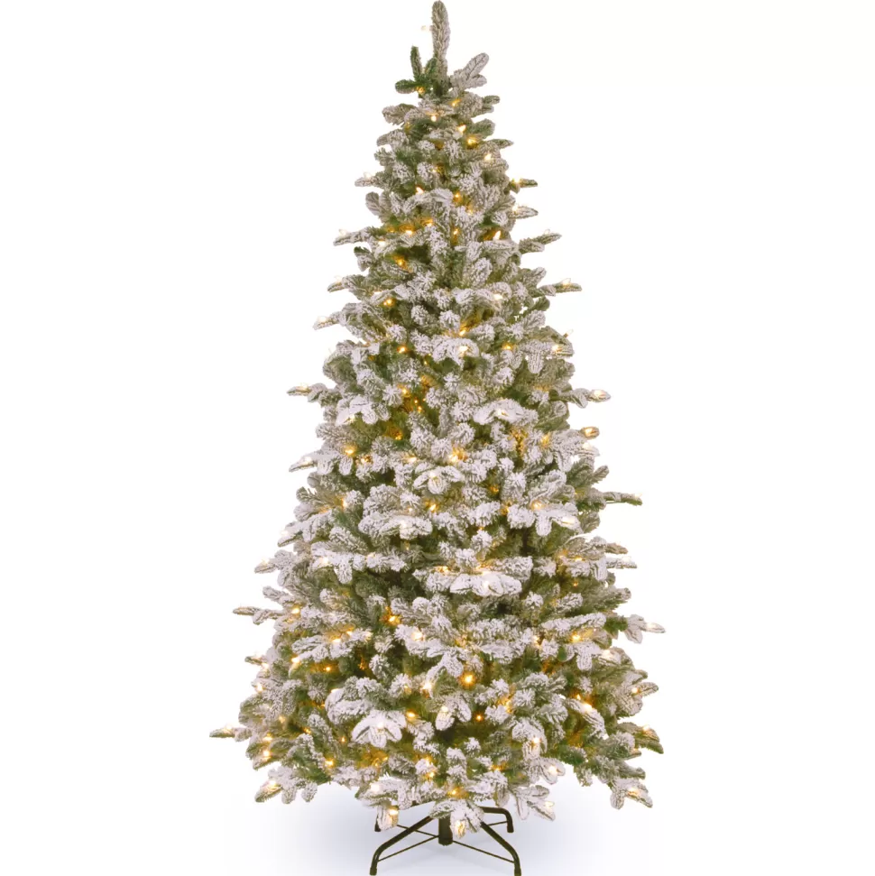 New Mercury Row Artificial Fir Flocked/Frosted Christmas Tree With Lights