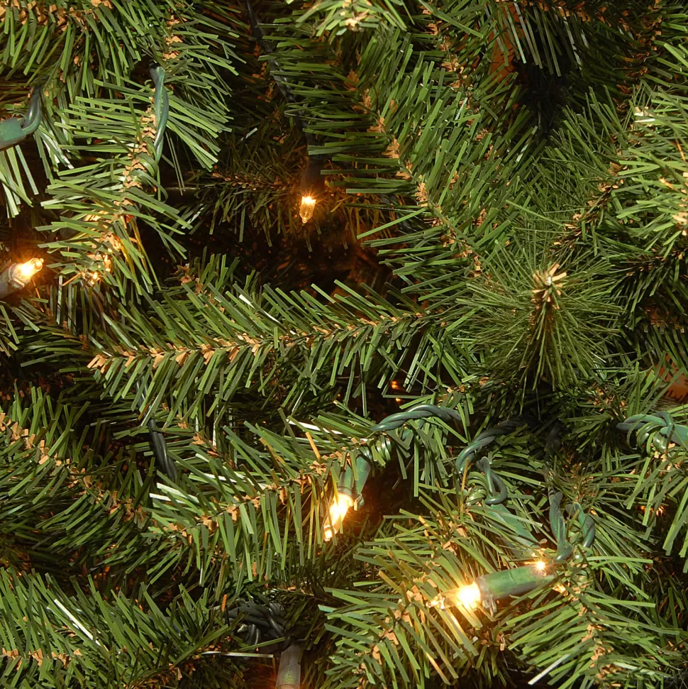 Flash Sale The Holiday Aisle Aspen Spruce 7' Green Christmas Tree With 400 Clear/White Lights