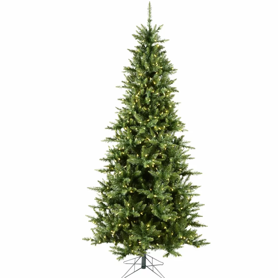 Clearance The Holiday Aisle Beardstown Fir 7.5' Green Artificial Slim Christmas Tree With 585 Led Warm White Lights