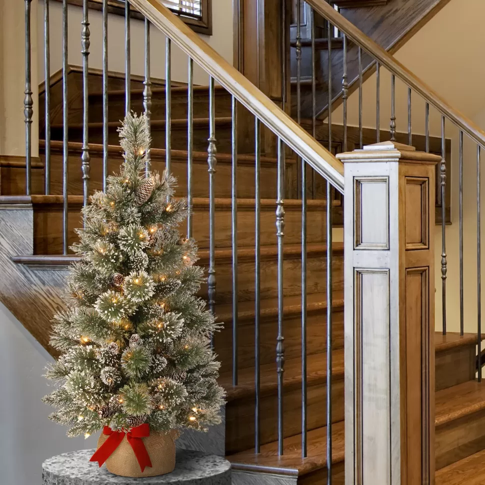 Fashion The Holiday Aisle Benjamin-James 3' H Green Pine Artificial Pine Flocked/Frosted Christmas Tree With 35 Lights And Pinecones