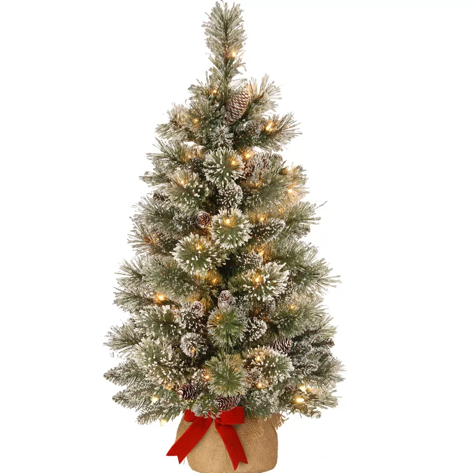 Fashion The Holiday Aisle Benjamin-James 3' H Green Pine Artificial Pine Flocked/Frosted Christmas Tree With 35 Lights And Pinecones