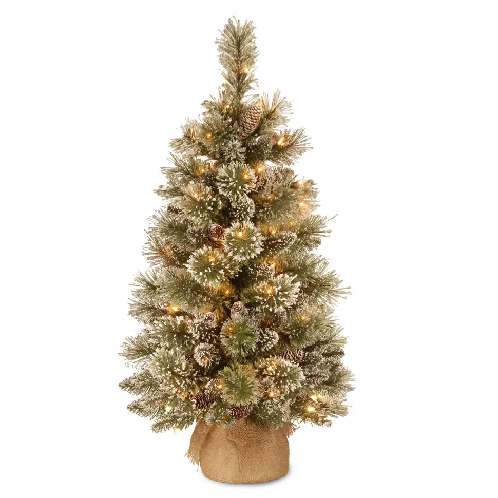 Fashion The Holiday Aisle Benjamin-James 3' H Green Pine Artificial Pine Flocked/Frosted Christmas Tree With 35 Lights And Pinecones