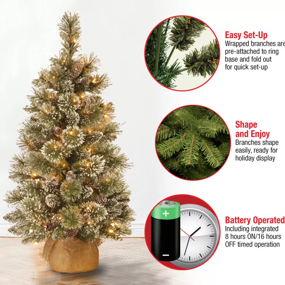 Fashion The Holiday Aisle Benjamin-James 3' H Green Pine Artificial Pine Flocked/Frosted Christmas Tree With 35 Lights And Pinecones