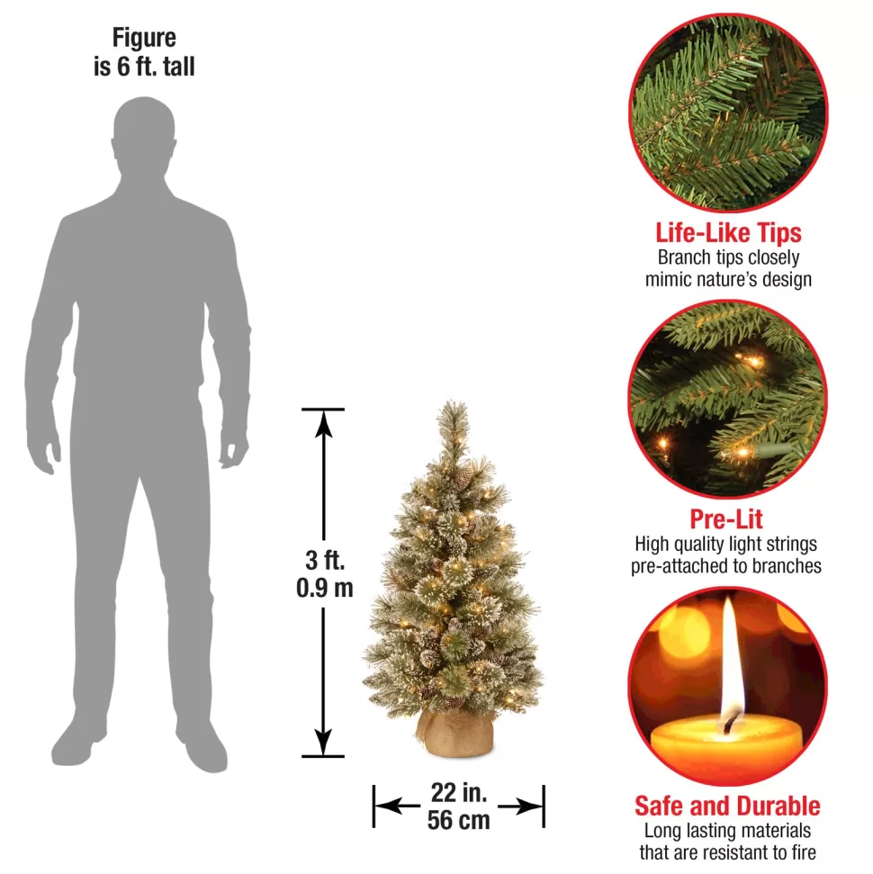 Fashion The Holiday Aisle Benjamin-James 3' H Green Pine Artificial Pine Flocked/Frosted Christmas Tree With 35 Lights And Pinecones