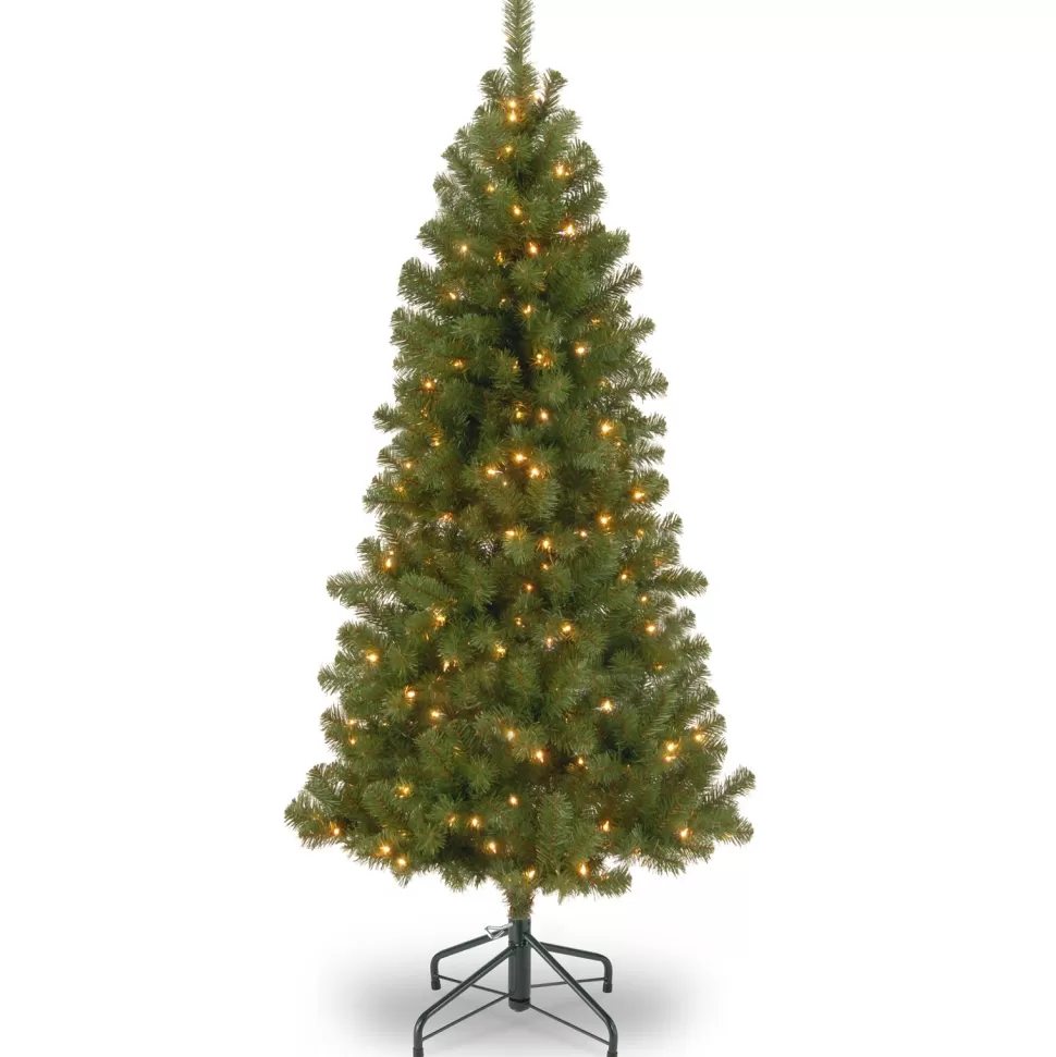 Best Sale The Holiday Aisle Canadian Fir 6' Green Artificial Christmas Tree With 200 Clear/White Lights