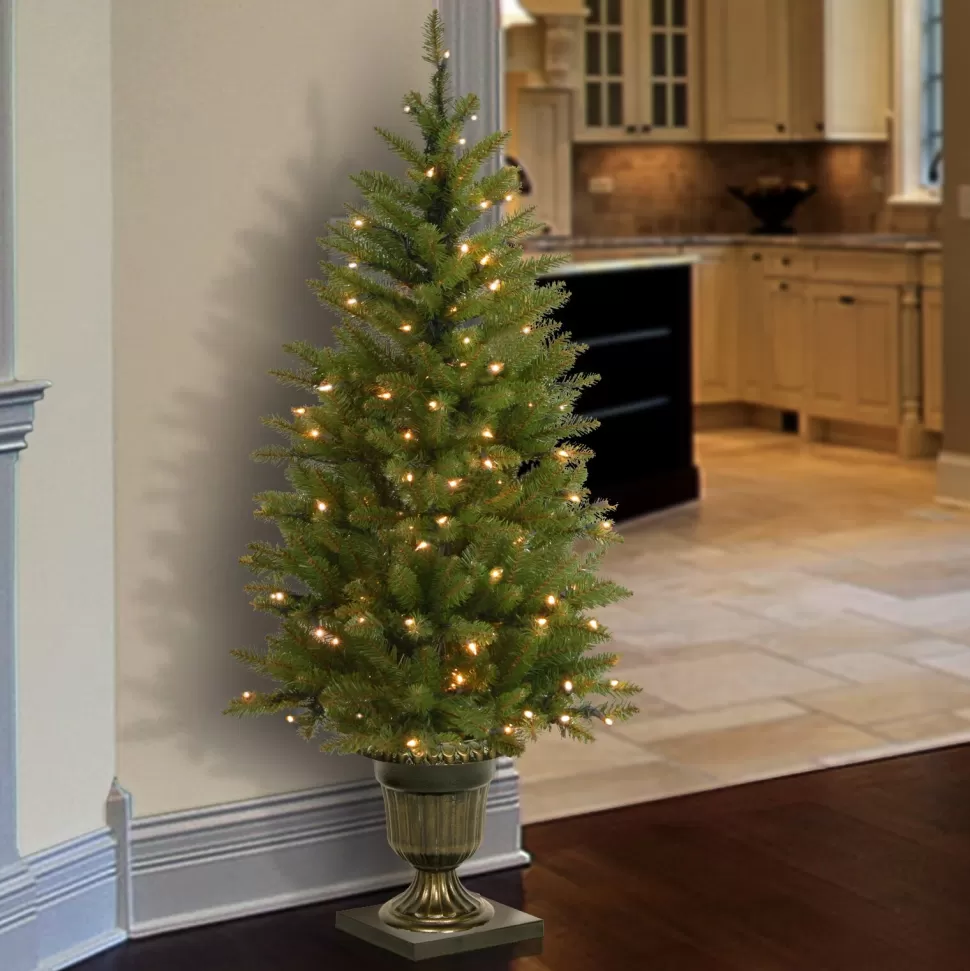 Cheap Charlton Home Dunhill Fir 4' H Green Fir Christmas Tree With 70 Lights