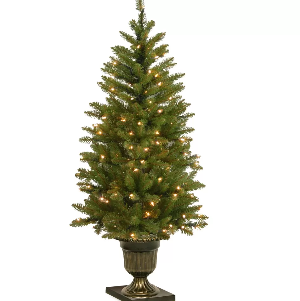 Cheap Charlton Home Dunhill Fir 4' H Green Fir Christmas Tree With 70 Lights