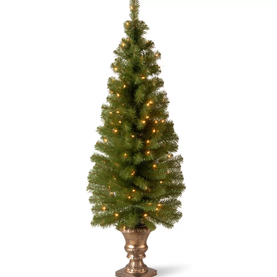 Discount The Twillery Co. Entryway 5' Green Spruce Christmas Tree With 100 Clear/White Lights