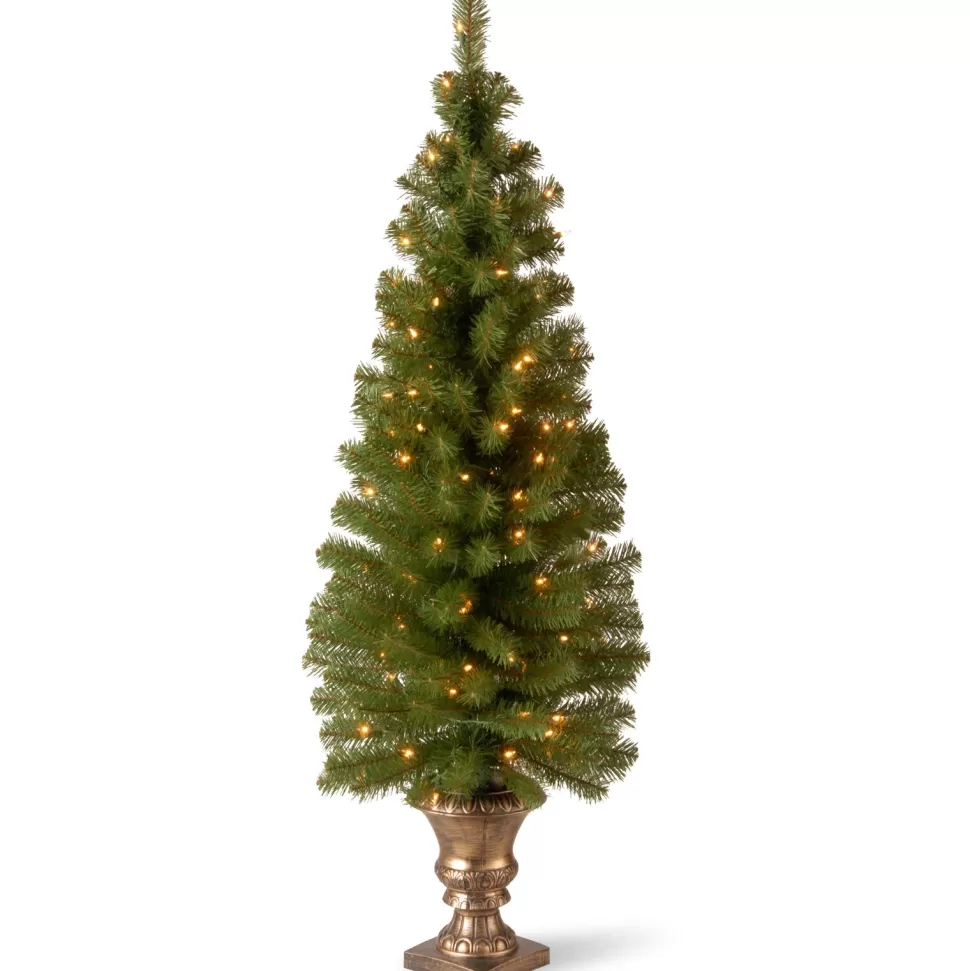 Discount The Twillery Co. Entryway 5' Green Spruce Christmas Tree With 100 Clear/White Lights