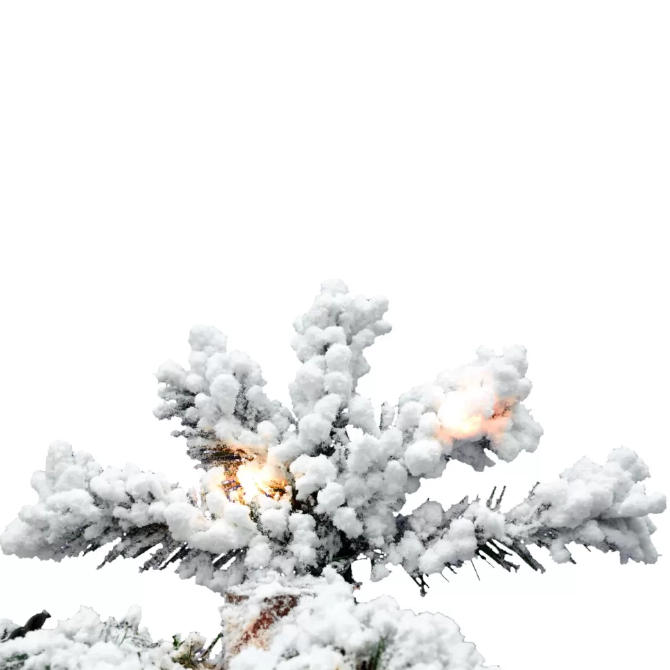 Fashion The Holiday Aisle Flocked Alpine 4' Spruce Trees White Artificial Christmas Tree With 150 Clear/White Lights