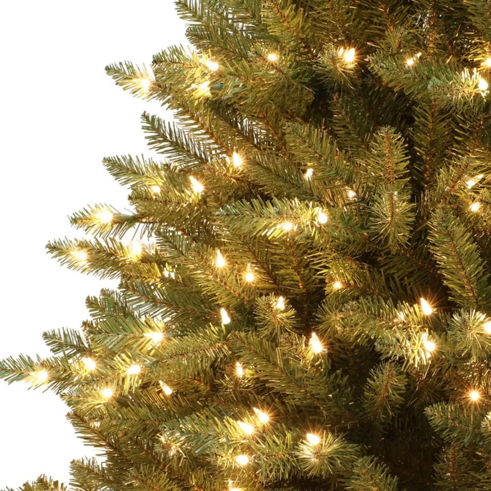 Flash Sale The Holiday Aisle Fraser 7.5' Green Artificial Fir Christmas Tree With 750 Cool White Lights