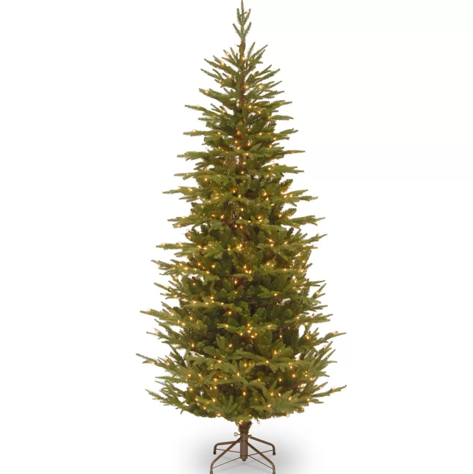 Best Sale Beachcrest Home Frasier Grande 7.6' Green Fir Artificial Christmas Tree With 600 Clear/White Lights