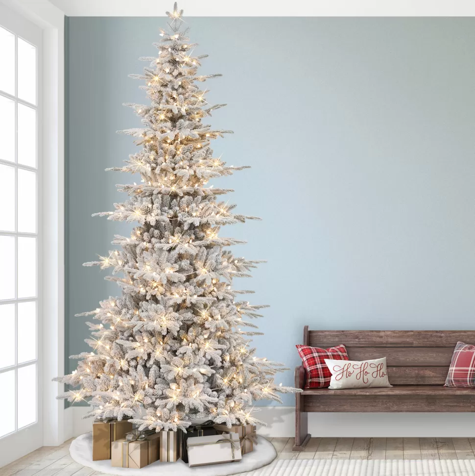 Cheap The Holiday Aisle Gervon 9' H Slender Green Realistic Artificial Fir Christmas Tree With 550 Lights
